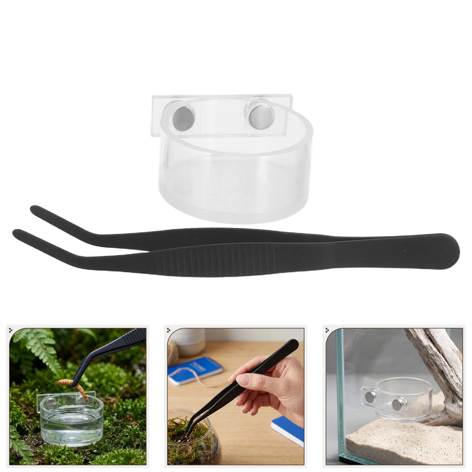 Tweezers Insect Feeding Feeder Dish Acrylic Gecko Cup for Reptiles 5 Inch Tongs Enclosure Bearded Dragon Feeing