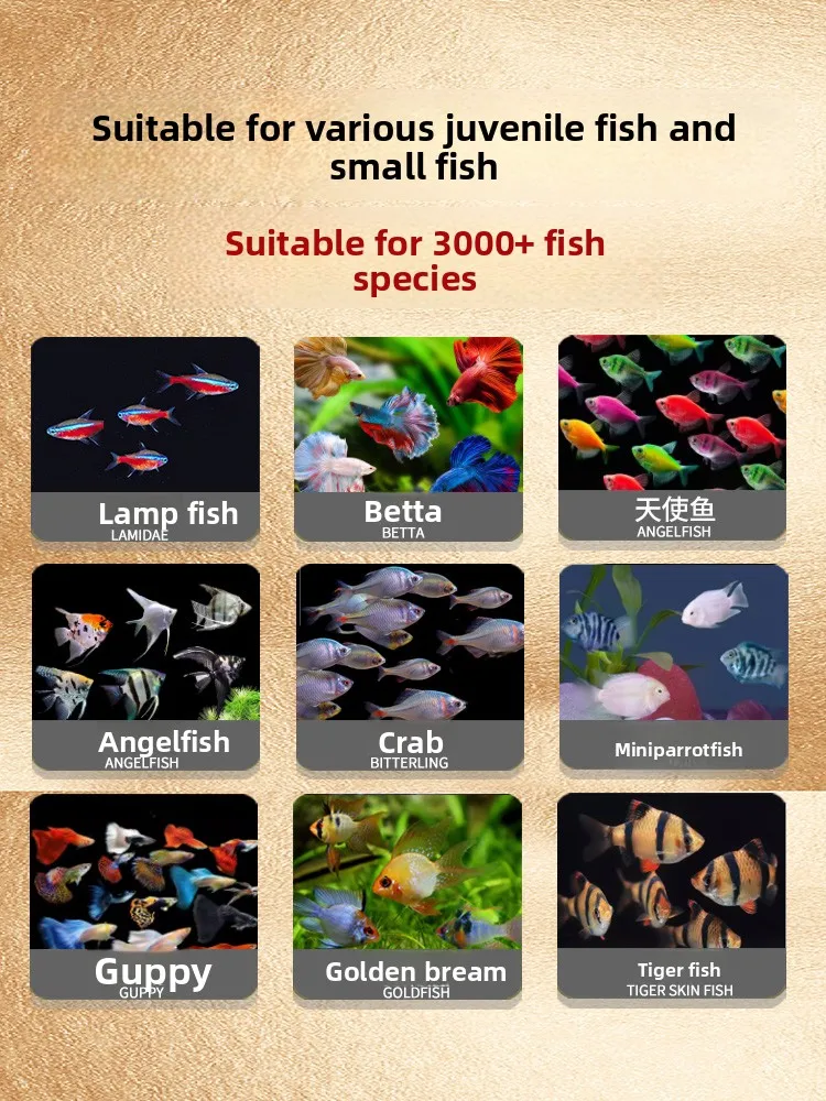 SUNSUN First Bite Food for Fry, Easy to Digest Powder for Baby Tetras, Zebra Danios, Guppies and Small Mouth Fish view 5