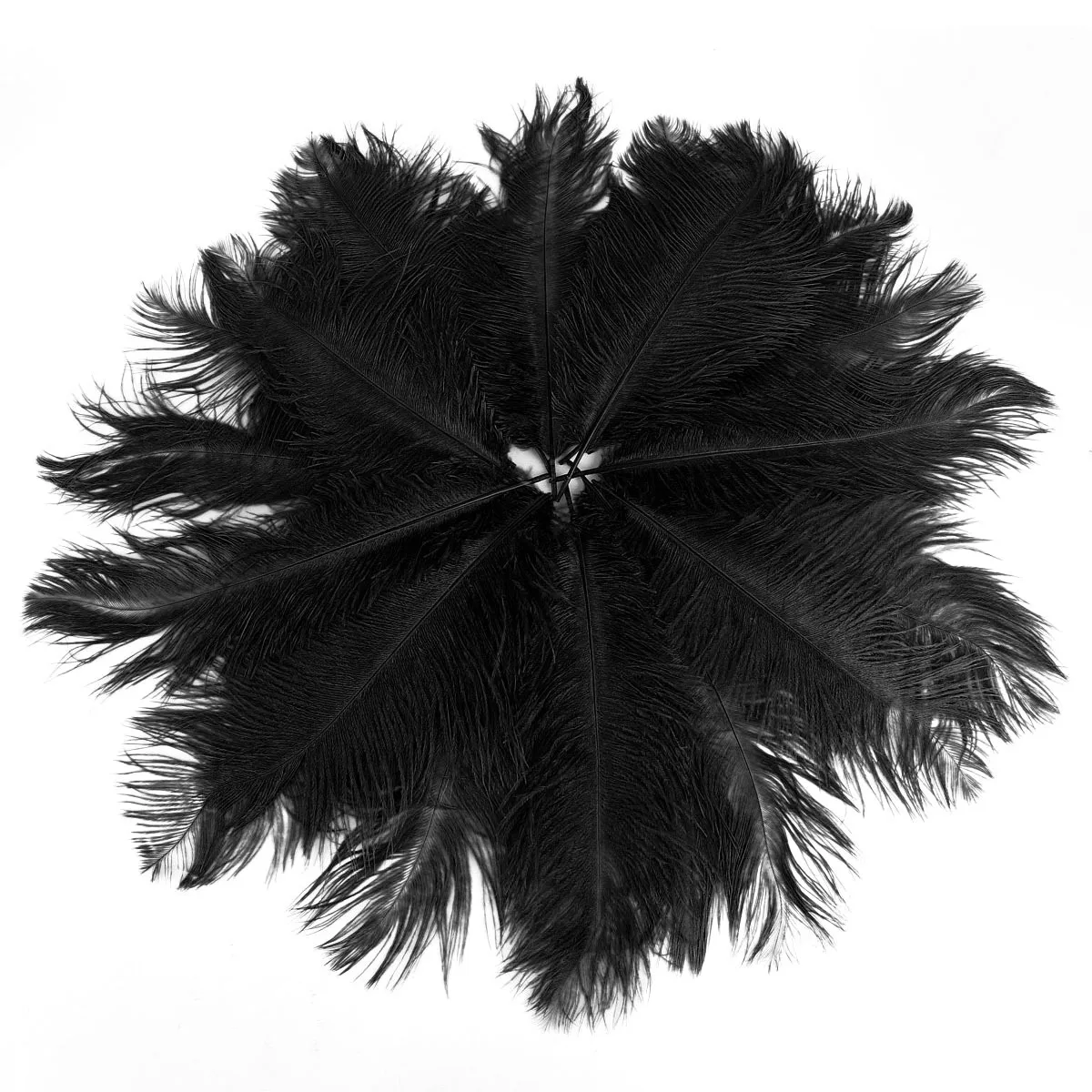 

20Pcs Ostrich Black Natural 25-30cm Decorations Party Home Wedding Centerpieces Masquerade Crafts Ostrich S