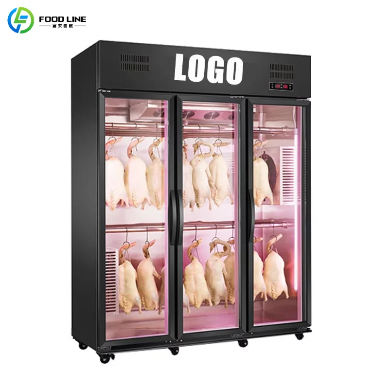 Customized Dry Aging Cabinet Intelligent Temp Humidity Air Purification Stainless Steel Commercial Meat Aging Fridge