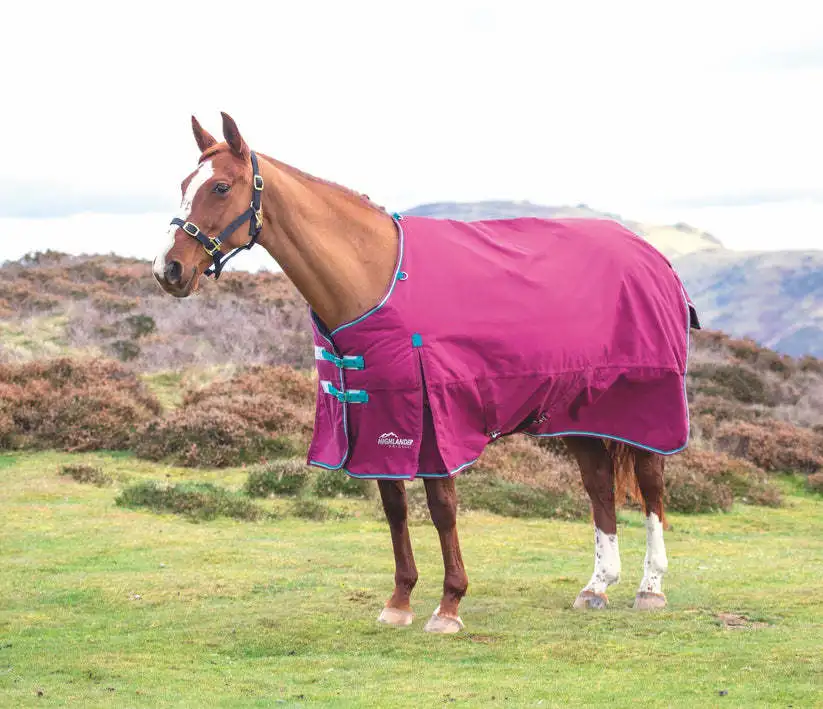 Cobertura padrão personalizada do cavalo, folha da malha, tapete do cavalo do ímã