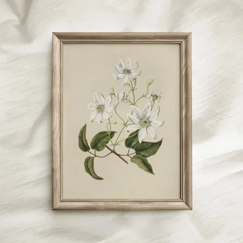 Vintage Beauty Style Botanical Flower Floral Gallery Art Poster Canvas Painting Wall Prints Picture for Living Room Home Decor