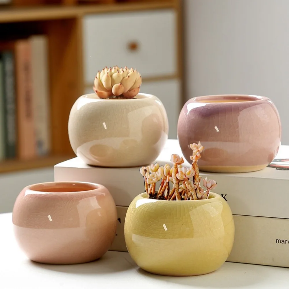 Succulent flower pot with ice crack, small and cute cartoon shape, simple ceramic home desktop decoration, meat flower pot