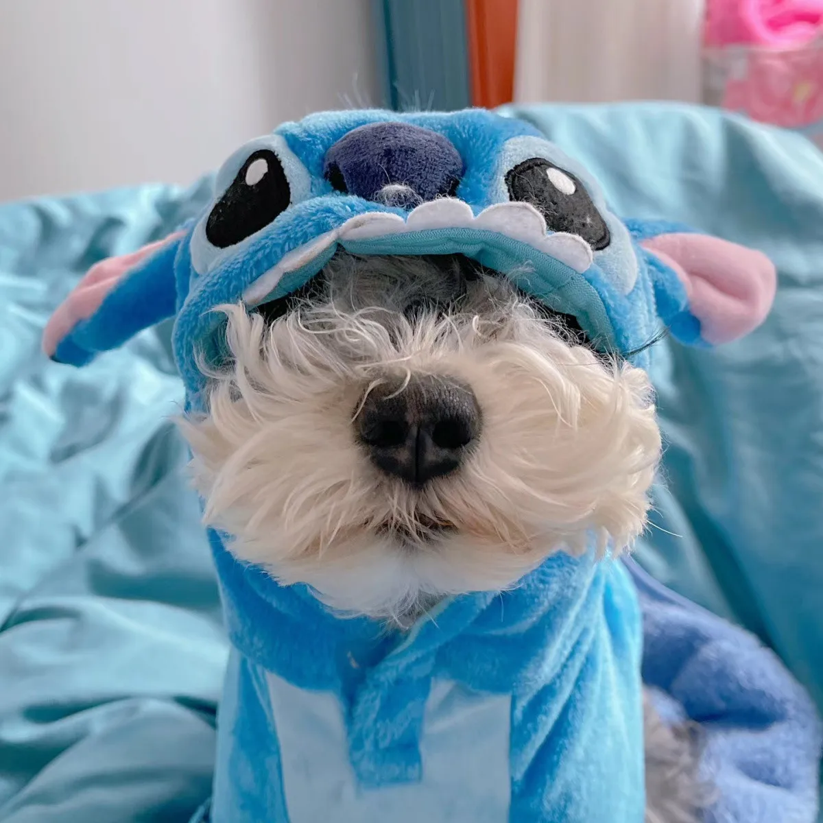 Anime Cartoon Leuke Lilo Stitch Huisdier Kostuum Kat Hond Transformeren Pluche Gevoerde Snap Jas Vierpotige Kleding Verrassingscadeau voor Fans