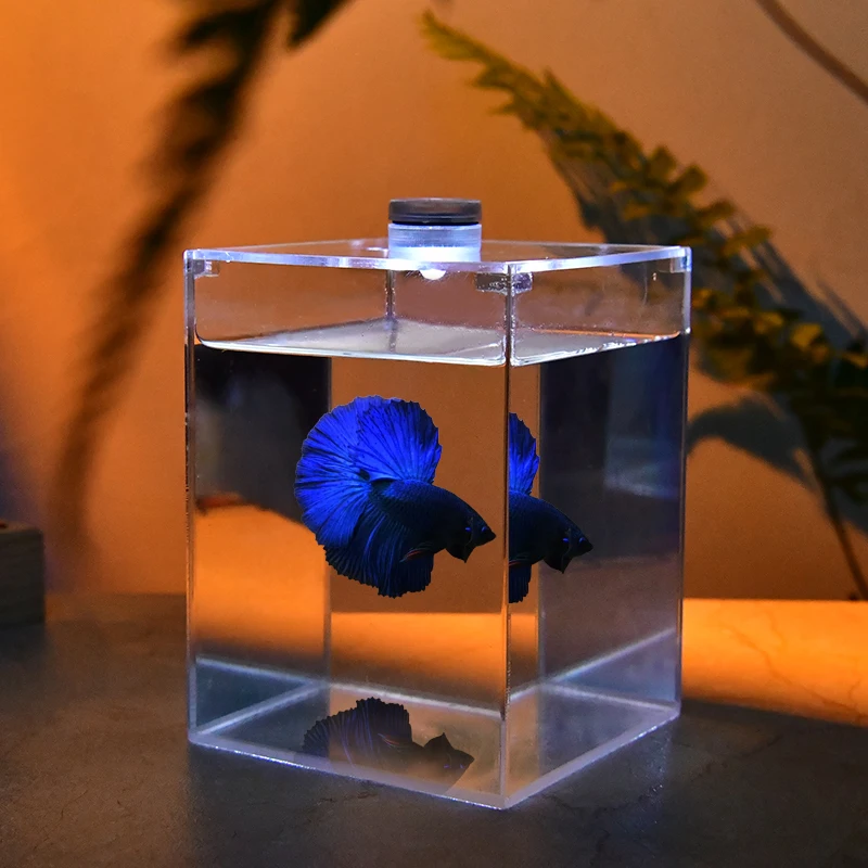 

Acrylic High Definition Aquariums Creative Ecology Simplicity Ornamental Fish Aquariums Living Room Home & Garden Acquario Lsyg