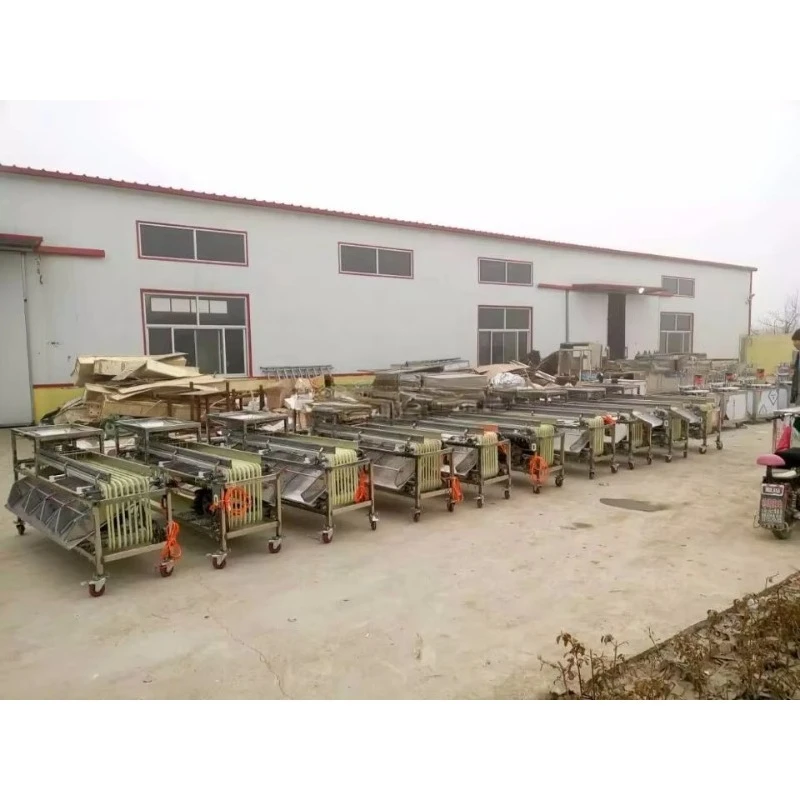 Stainless Steel Best Price Blueberry Sorting Machine