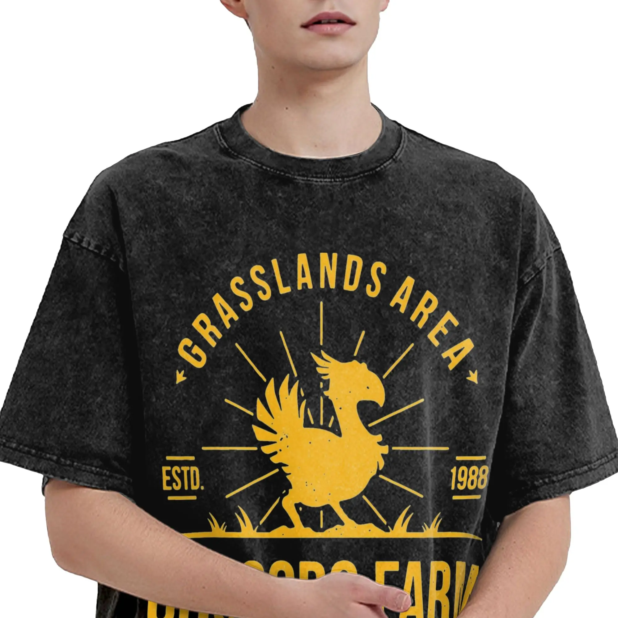 Men Women Chocobo Farm Finals Fantasys Washed T Shirts Video Game 100% Cotton Clothes Leisure Short Sleeve O Neck Tee Shirt view 3
