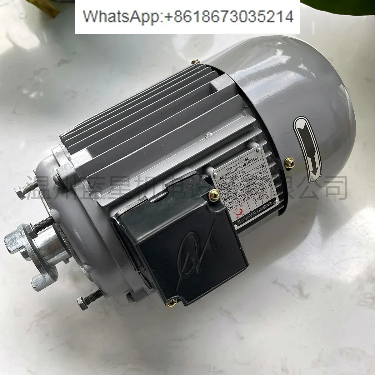 Motor Of Vacuum Pum…