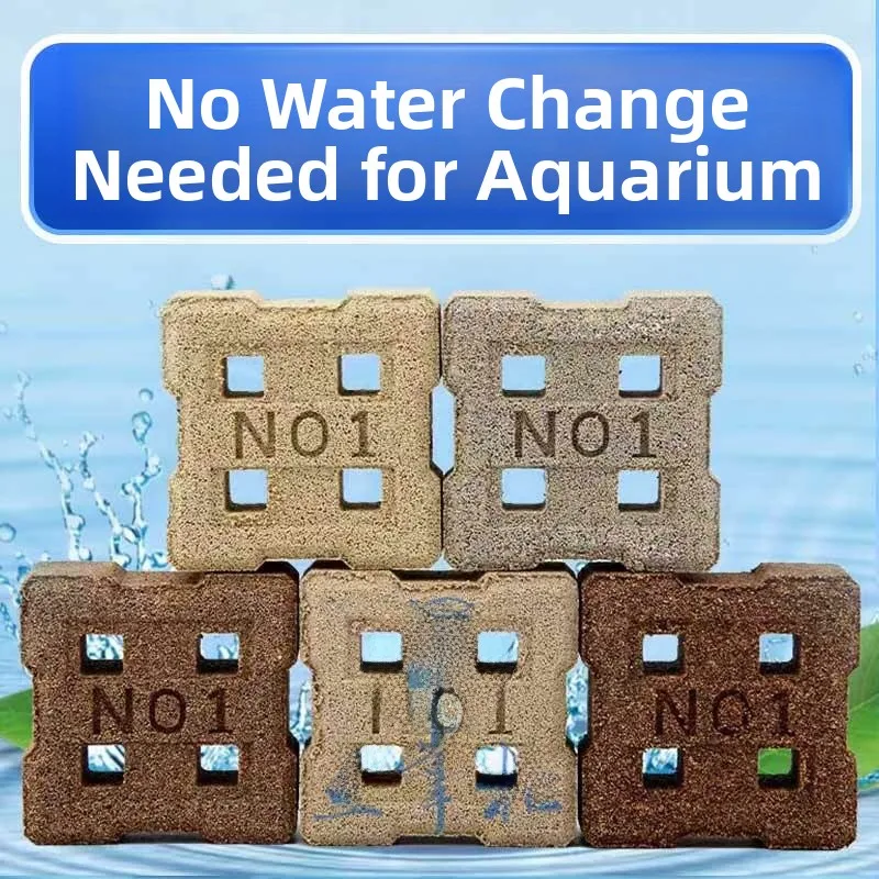 Second Generation N…