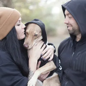 9 Hauptverkäufe Large Hundekleidung - №7