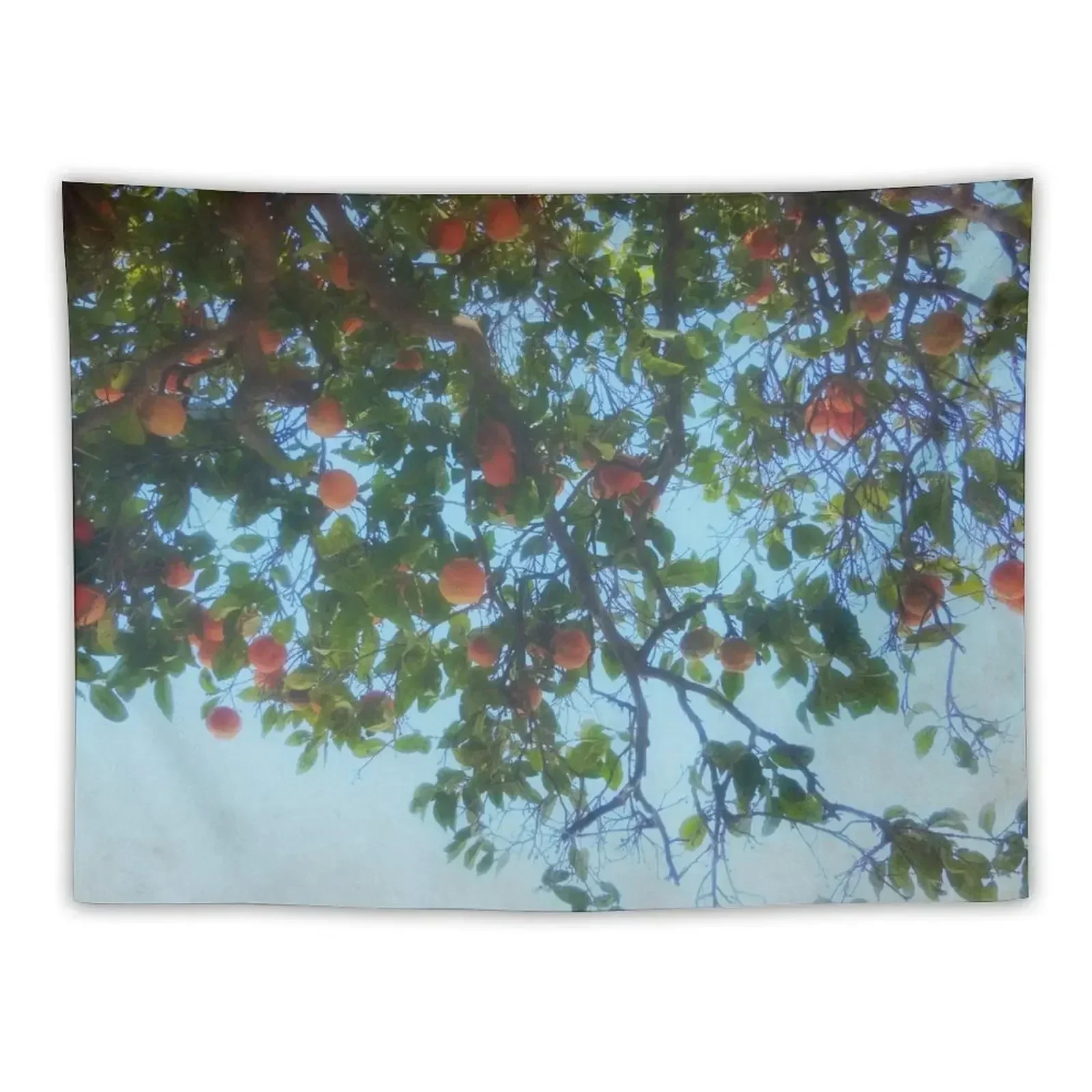 Underneath The Orange Tree Tapestry Room Decor For Girls Wall Art Tapestry