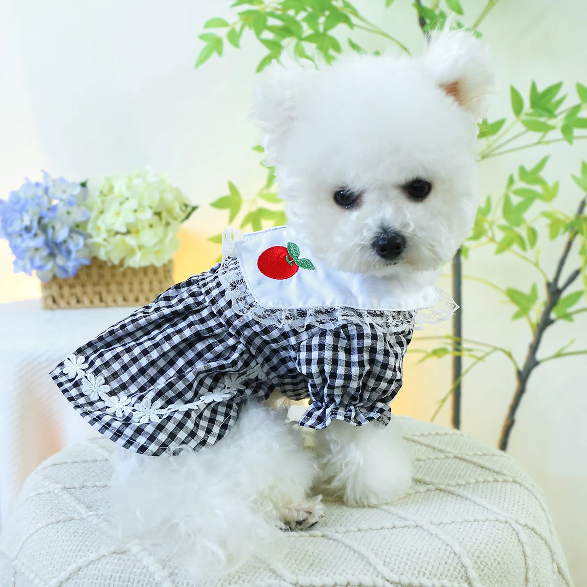 1PC Pet Clothing Cat Spring/Summer Thin Black and White Red Apple Skirt Suitable for Small and Medium Dogs