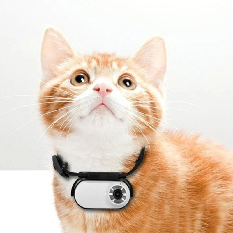 

Small Action Camera Cats Camera Collar with Video Record for Pet with High Resolution Video and Multiple Access Method D2RC