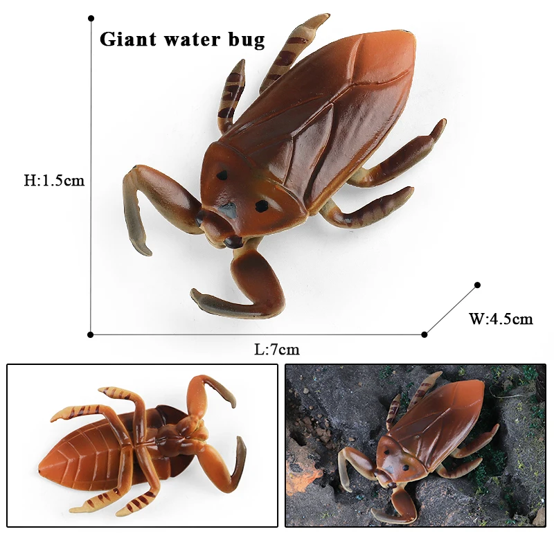 Oenux Simulation Libelle Heuschrecke Tausendfüßler Wildes Insekt Tiere Modell Actionfiguren Miniatur Bildung Sammlung Kinderspielzeug – Detail 12
