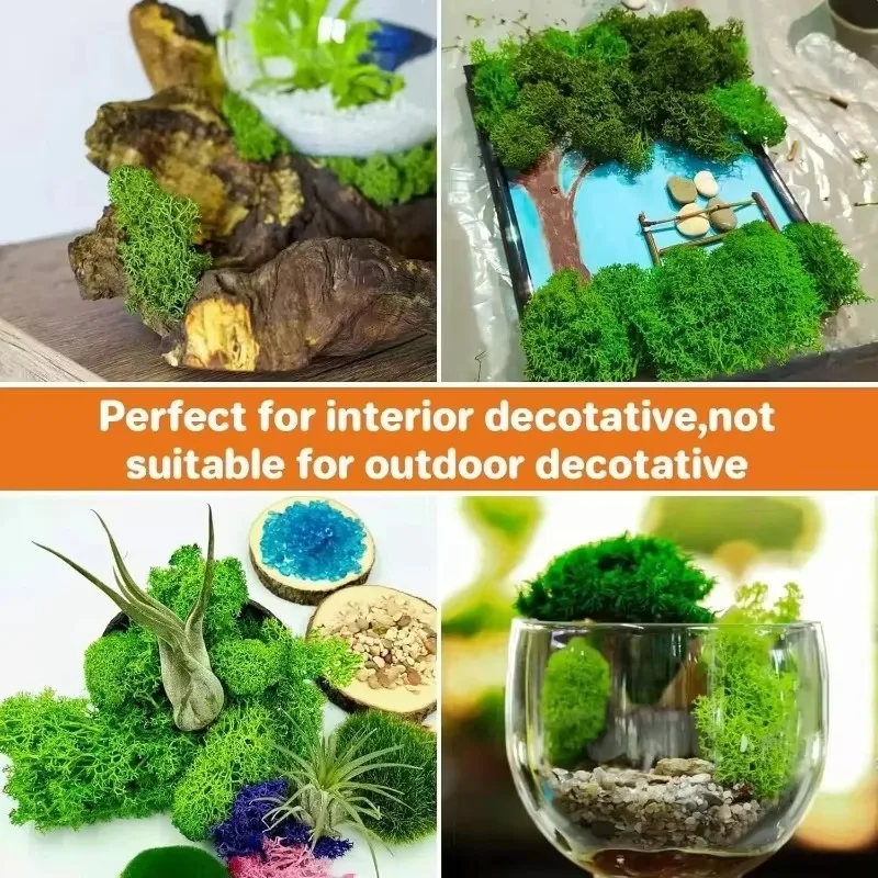 300/30 جرام الحياة الأبدية الطحلب العشب الاصطناعي الأخضر الطحلب المشهد الصغير العشب وهمية Craft بها بنفسك الحرفية فو الحفاظ على النبات موس حديقة ديكور