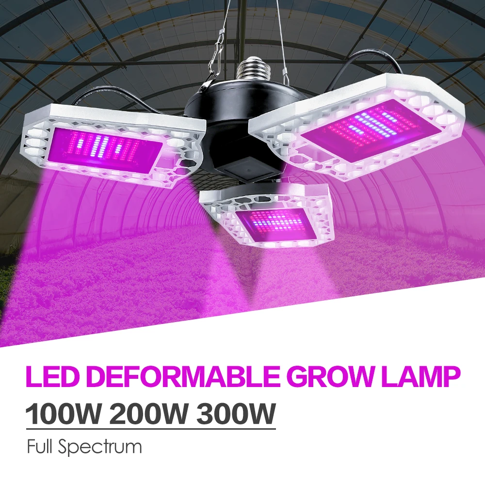 Lampe horticole de croissance LED E26, 100/200/300W, éclairage pour culture hydroponique de plantes
