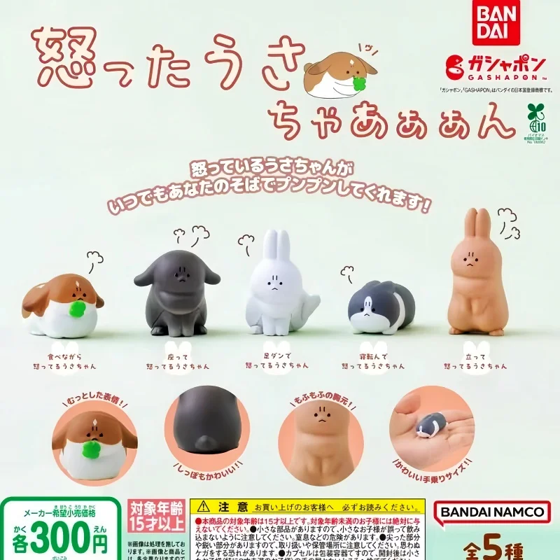 バンダイ怒り猫ガシャポンフィギュア 02 アニメグッズかわいい顔をしかめるキティ像すみっコぐらしキャラクターデスクトップ装飾おもちゃ