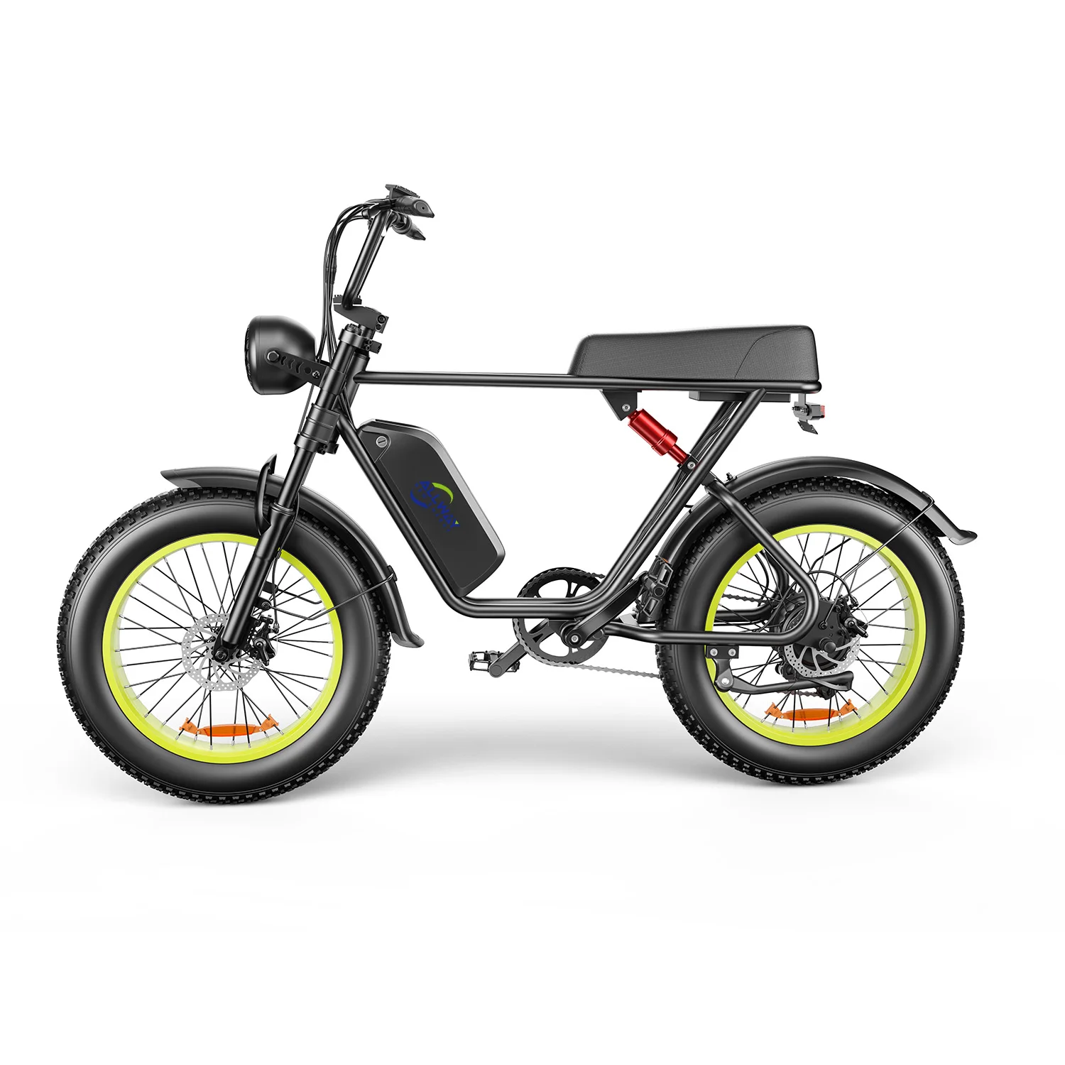 

STLF Fashion EU Fast Delivery Dual Disc Brake Shock Absorption Retro 48v 1000w High Motor Adult Dirt Electric Bike