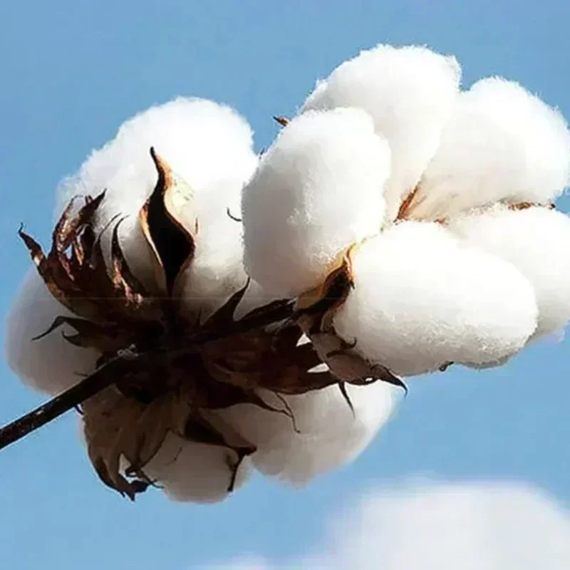 DX7 قميص خمر Synth 80s المحملة الموسيقار الإلكتروني أو منتج الموسيقى هدية DX7 المركب تي شيرت للجنسين Softstyle المحملة #3