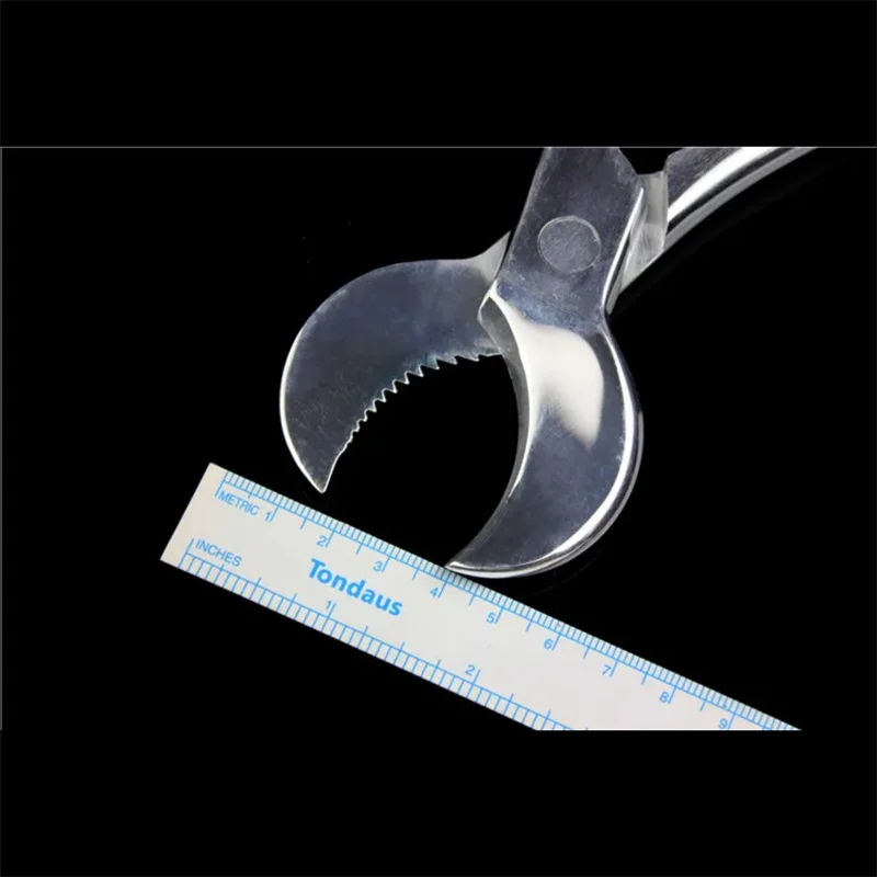 

Dental materials, gypsum forceps, superhard gypsum scissors, Jinzhong 304 stainless steel