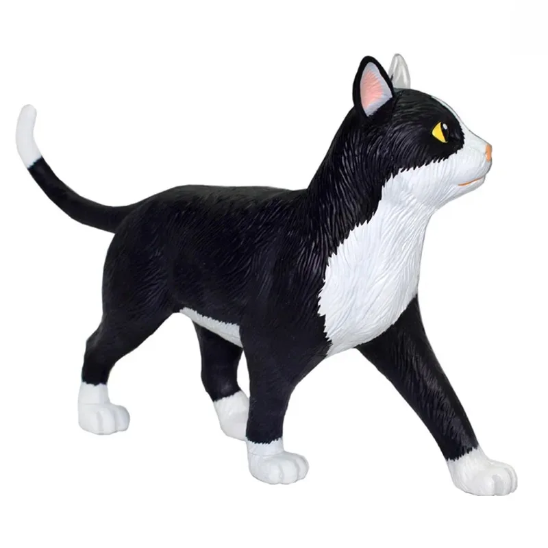 

Новая анатомическая модель 4D Vision, черно-белая кошка, 28, съемный орган, сердце, скелет, легень, анатомические медицинские учебные принадлежности