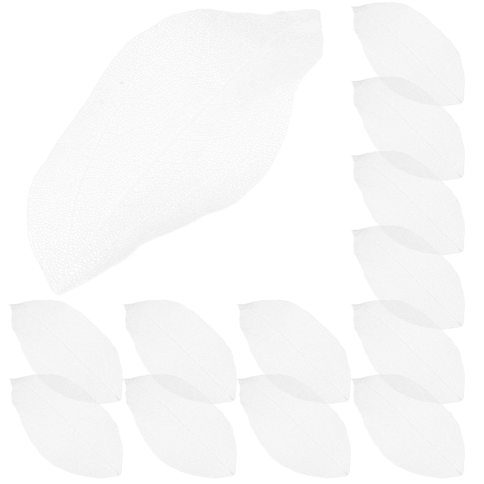 36 peças folhas prensadas secas para amuletos diy, arte em resina e enfeites artesanais, folhas, amuletos de folhas