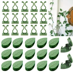 10/30/50 pz Plant Climbing Wall Fixture Clip Rattan Vine Fixer gancio autoadesivo invisibile Garden Binding Clip Wall StickyClip