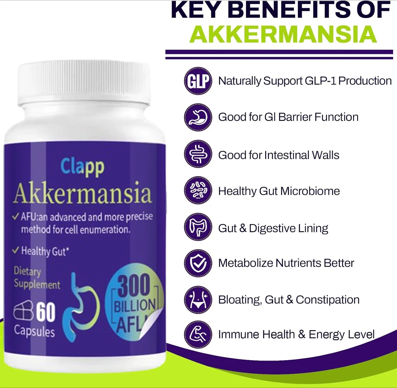 60 Capsules 300 Billion AFU Akkermansia Muciniphila Live Probiotic Digestion, Gut, Immunity, and Overall Health