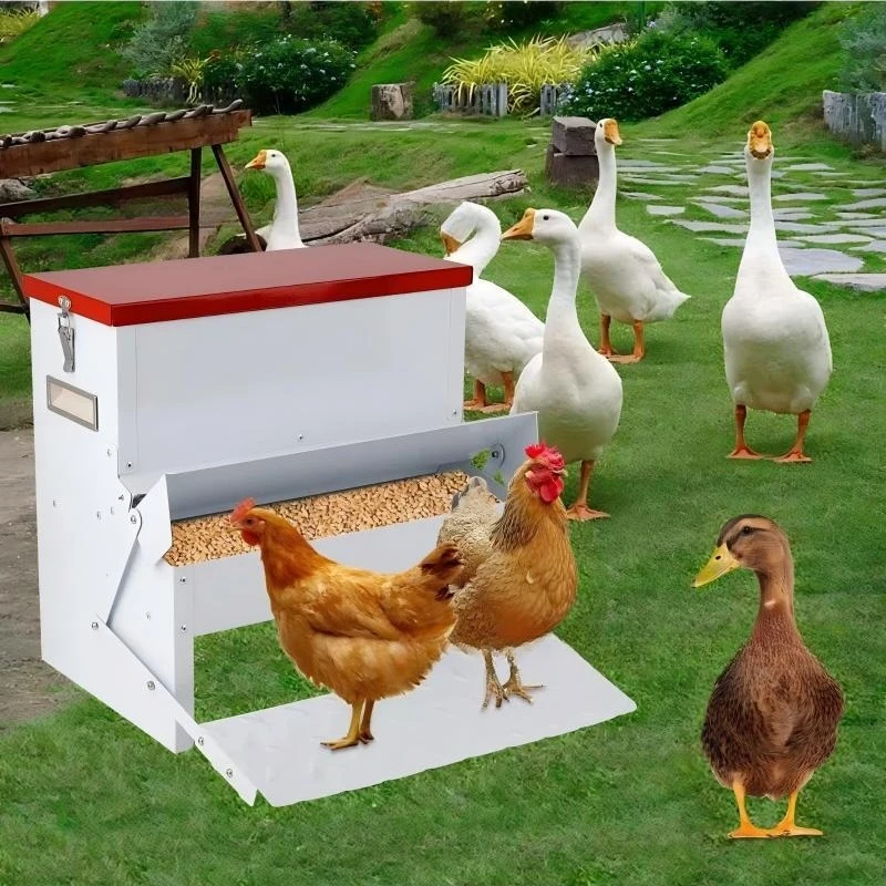 Automatic Chicken Feeding Trough with Pedal, Rect Feed Basin, Supplementary Feed Tray for Chicken Duck Goose