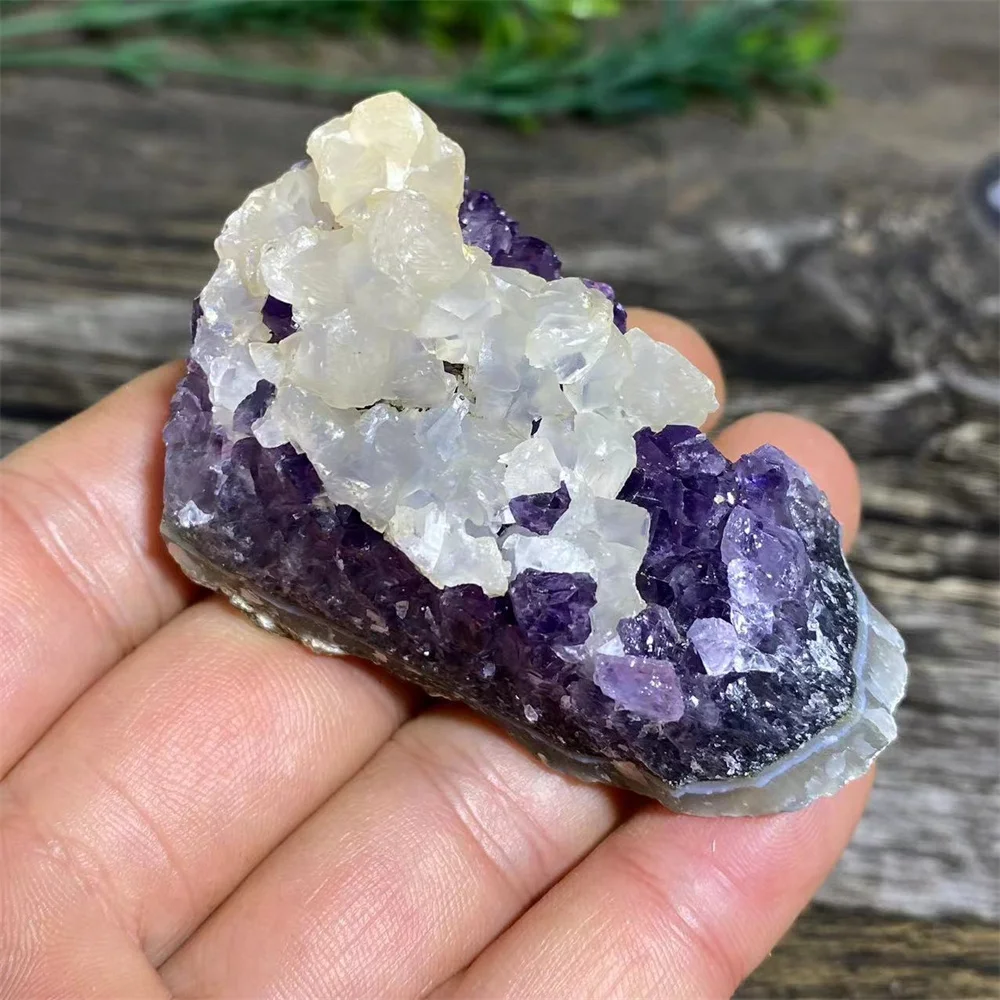 Natural Crystal Symbiont Amethyst Free Form Stone Quartz Mineral Gemstones for Spiritual Ornaments Home Decoration