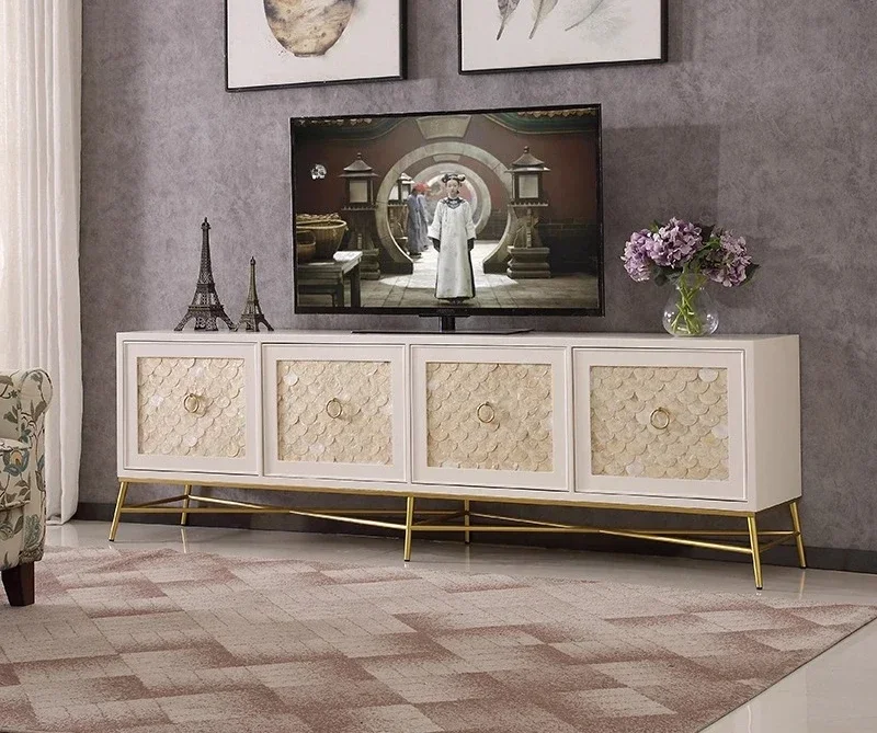 TV cabinet Living room stainless steel floor cabinet Multifunctional shell decorative audio-visual cabinet