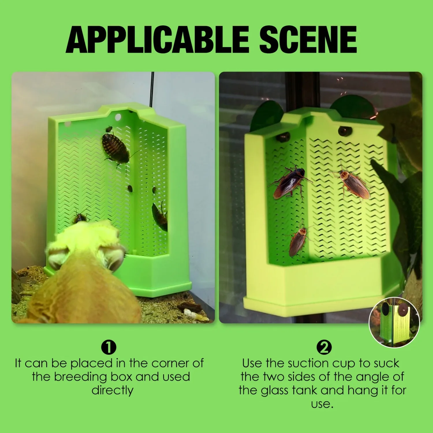 Escape-Proof Corner Reptile Feeder Bowl with Suction Cups 3