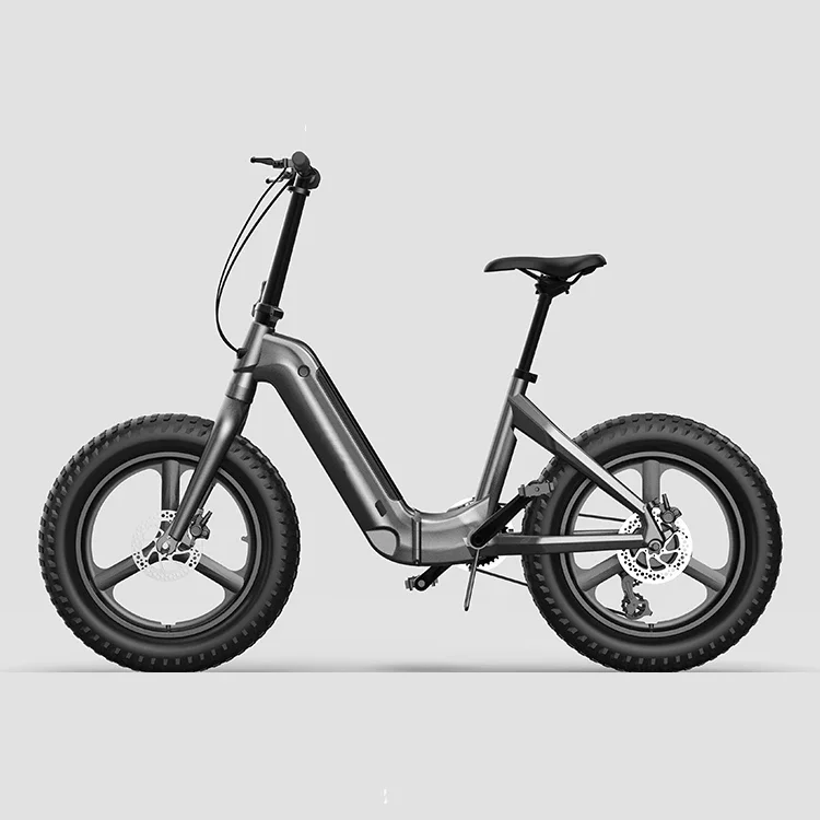 Best Quality Promotional 7 Speed 500/750/1000w Latest 20 Inch Fat Tire Folding Ebike