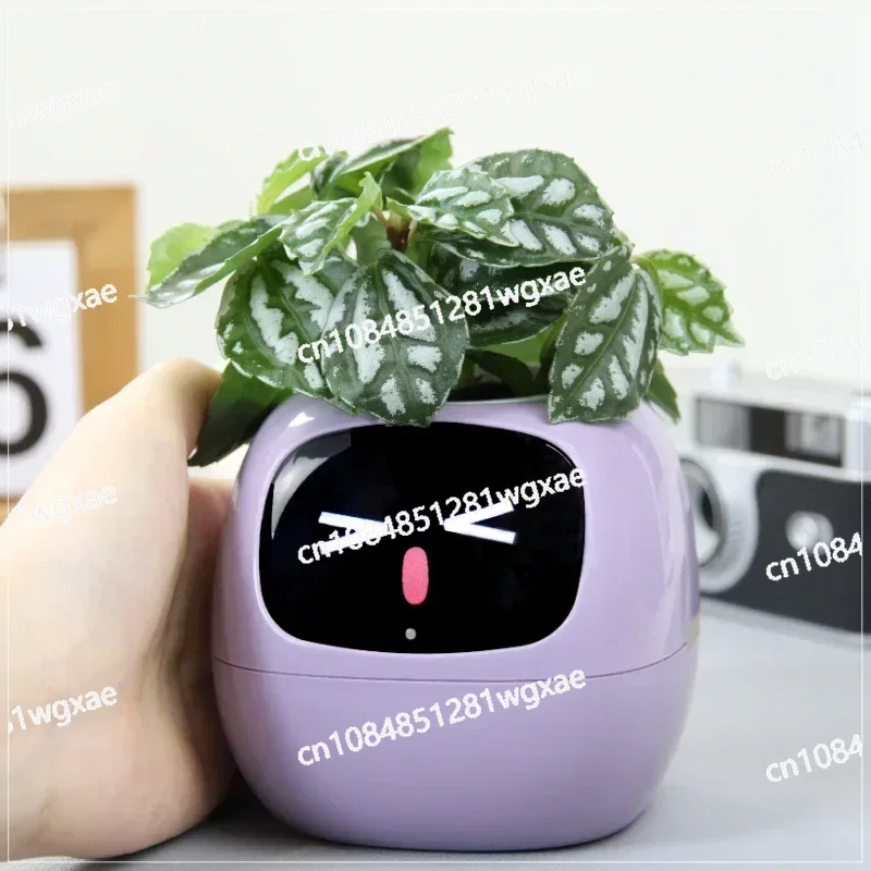 Smart and Cute Pet Small Flower Pot with Green Plants To Express Emotions in Your Plants