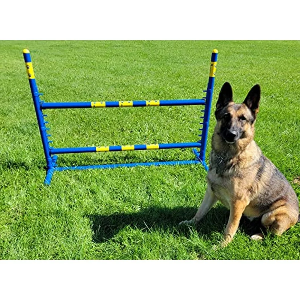 ActiveDogs Fixed Base Jump Dog Agility Equipment