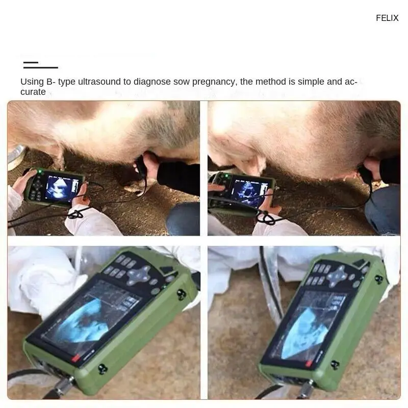 Veterinary B-ultrasound machine sow pregnancy tester pig sheep cat dog pregnancy test portable pet pregnancy tester S1