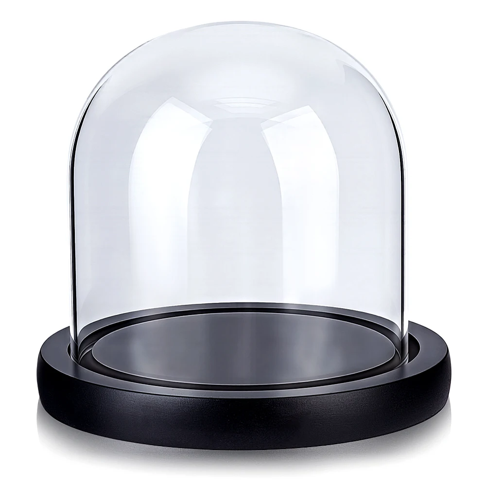 Glass Dome Cloche 4.8