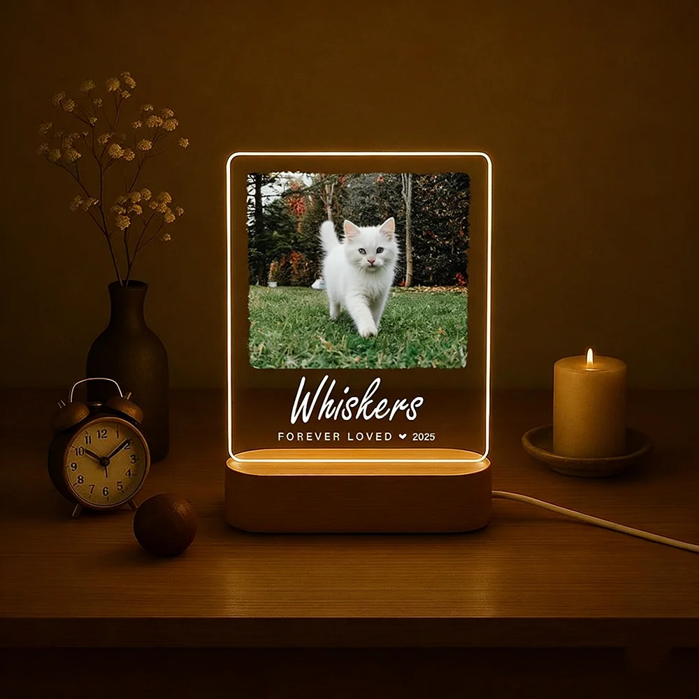 

Персонализированный изысканный ночник для питомцев: акриловый светодиодный светильник с изображением собаки или кошки, подарок для владельцев животных, милый ночник