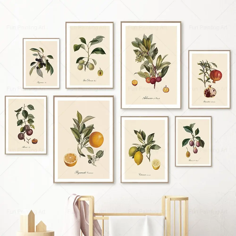 Pósteres e impresiones Vintage de fruta botánica Retro, limón, ciruela pasa, naranja, cuadro sobre lienzo para pared, imágenes de pared, decoración de cocina