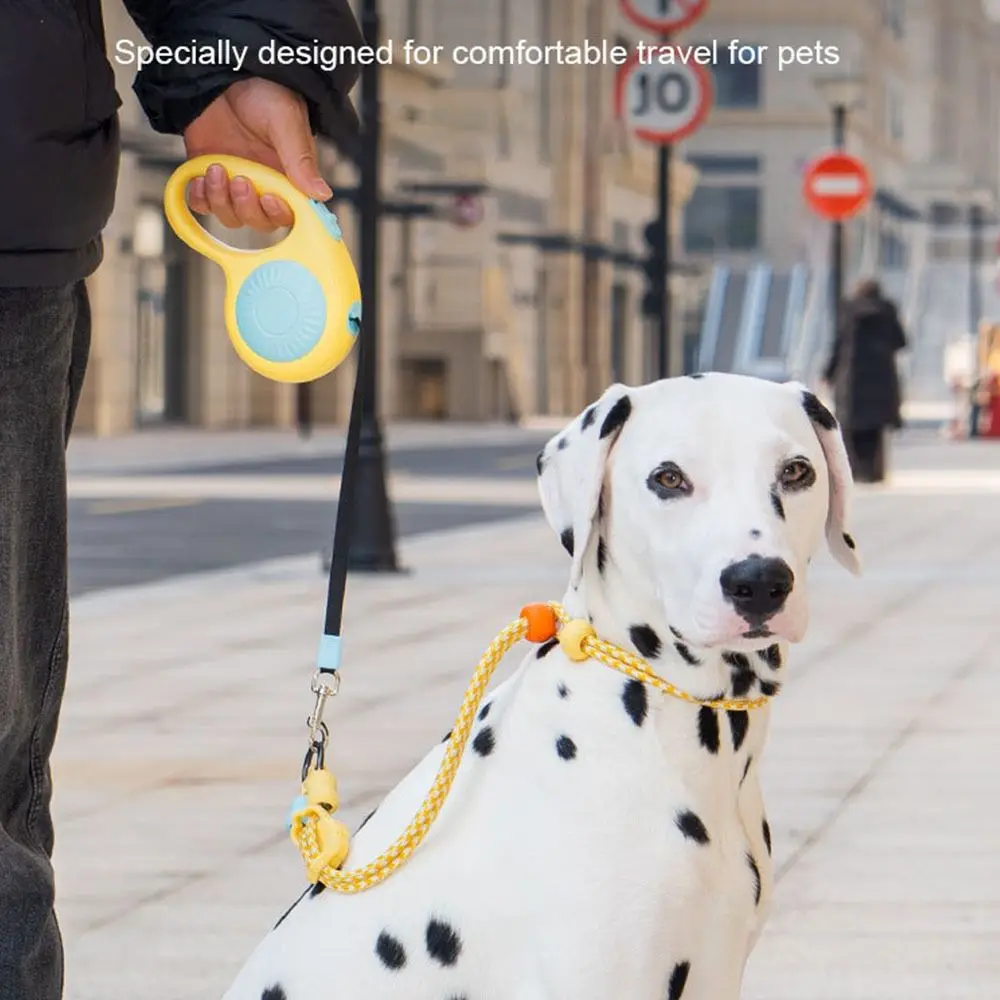 3M Dog Walking Leas…