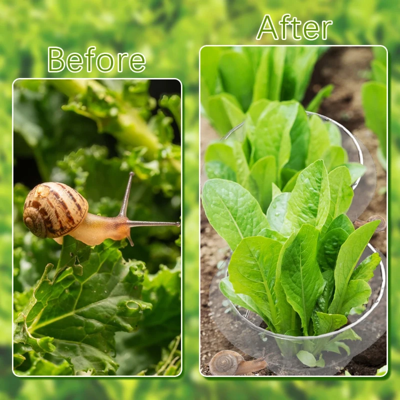 

Plant Protection Cover Plastic Snail Collar Reusable Insects Frost Weather Plant Protection Insect Seedling Covers Garden Tools