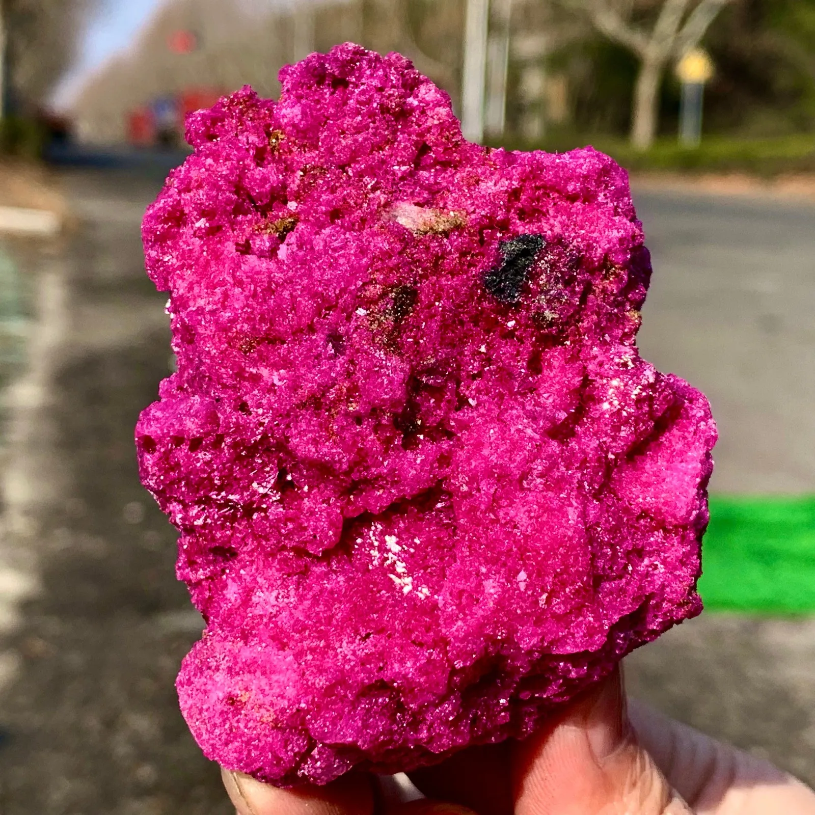 1pc Natural Rough Ruby Specimen, Versatile Fashion Accessory and Is Perfect for Plant-Themed Home and Holiday Decorations