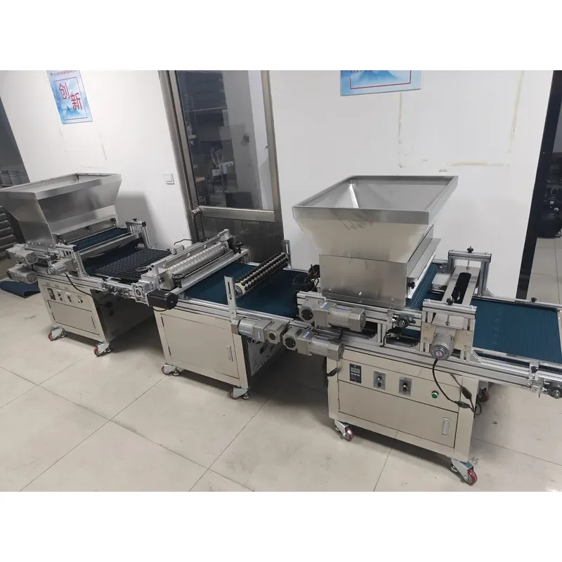 Easy to Operate Tray Seedling Machine for Sowing Various Vegetable Seeds with Stable Quality