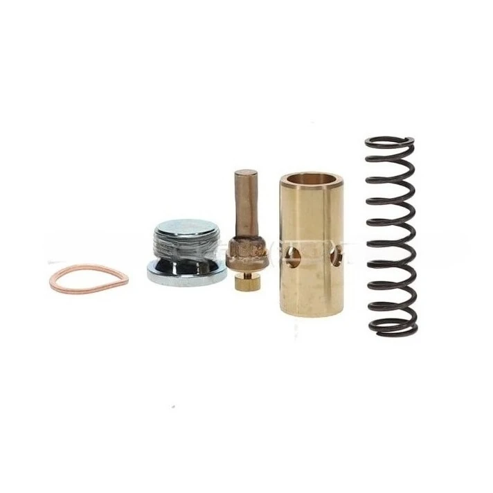 

Air Compressor Valve Accessories 2420425667P Constant Temperature Valve Maintenance Kit