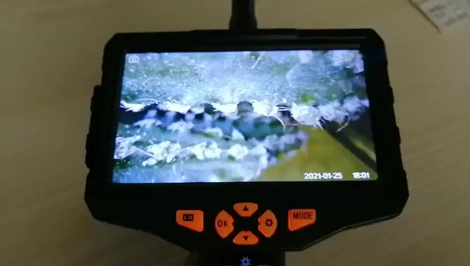 Lente endoscópica con pantalla de 5,0 pulgadas, con linterna LED, tarjeta TF de 32GB, cámara de vídeo Digital para Detector de termites, Control de plagas