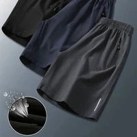 Summer Men Shorts Ice Silk Running Gym Sport Shorts Quick Dry Breathable Beach Short Pant Fitness Jogging Cool Casual Sportswear 5