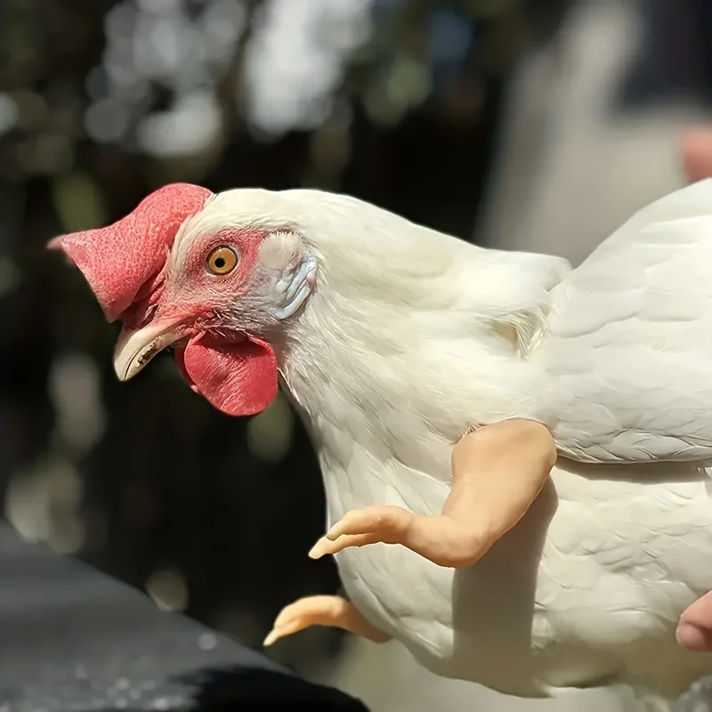 

Funny Pet Item Feigned Chicken Forelimb Interesting Chicken Psyduck Arm Decoration