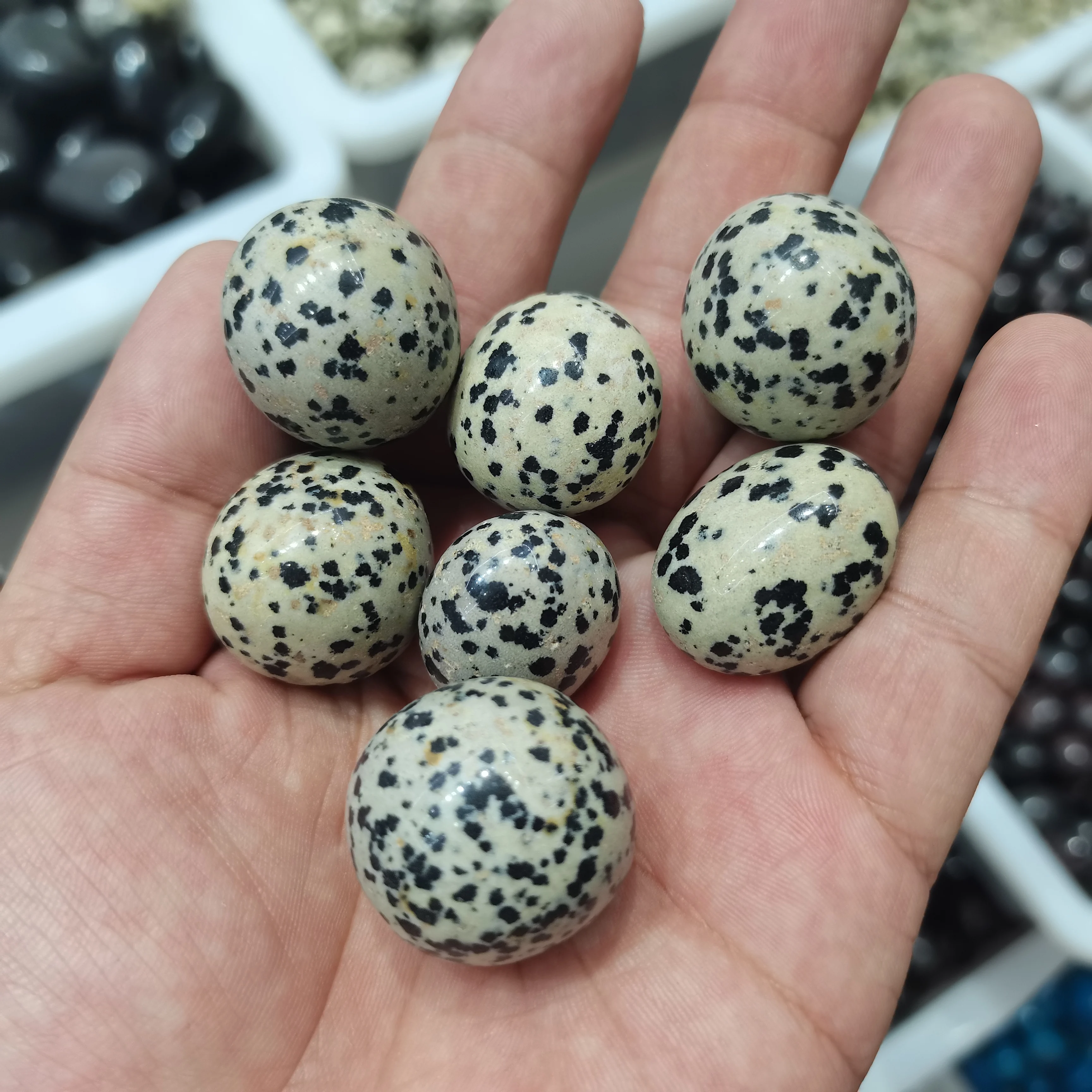 

Natural Spotted Dalmatian Jasper Crystal Tumbled Bulk Healing Mineral Specime Gemstones Raw Aquarium Natural Stones and Minerals
