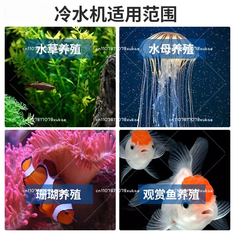 Household Small Fish Tank Water Cooling Machine Refrigerator CY1000 Indoor and Outdoor Ice Bath Bucket Chiller