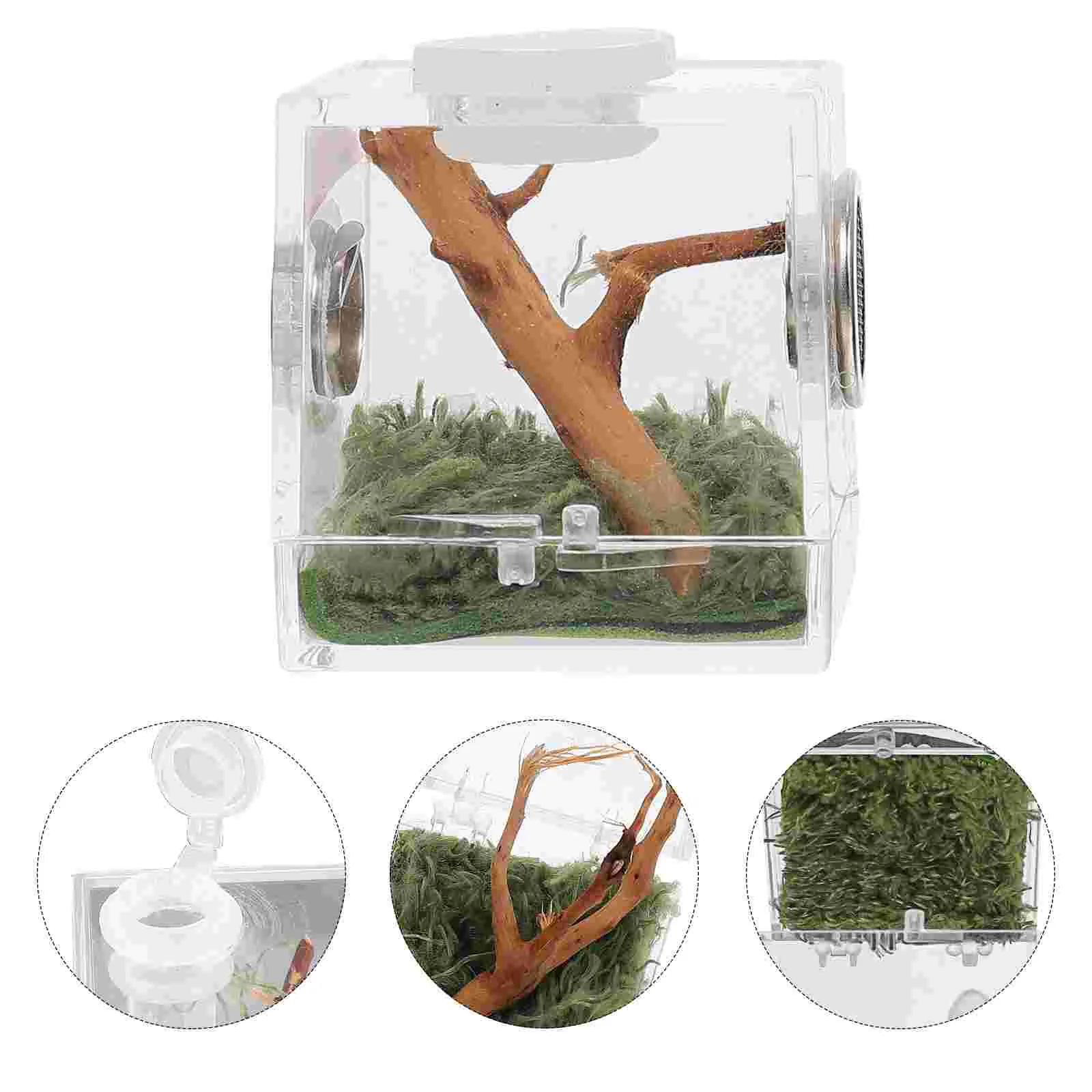 Villcase Glasbehälter 2 Satz Spinne Terrarium Acryl Reptilien Zucht box springen Spinne Gehäuse Tropfer zange